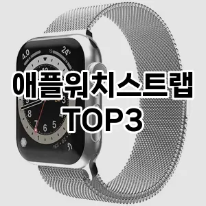 애플워치스트랩 추천 TOP 3