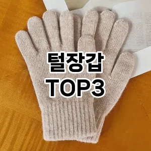 털장갑 추천 TOP 3